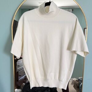 Babaton Aritzia Turtleneck Sweater in Birch